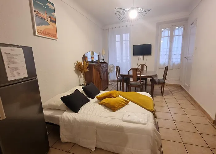 T2 Charme Et Balcon, Centre De - Fr-1-309-285 Collioure